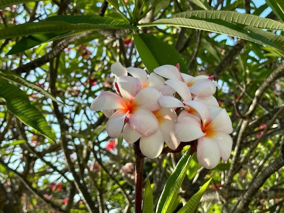 Le Flora, 2 Chambres, Vue Mer Courcelles Daire