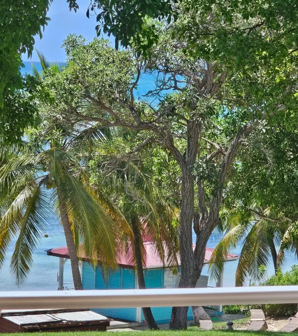 Daire Le Flora, 2 Chambres, Vue Mer Courcelles Guadeloupe